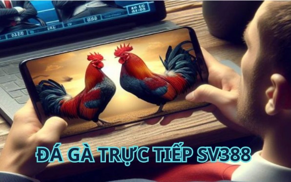 Lý do lựa chọn đá gà tại SV388