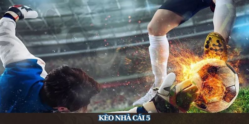 Kèo Nhà Cái 5 sử dụng dữ liệu từ 5 đơn vị cá cược hàng đầu hiện nay