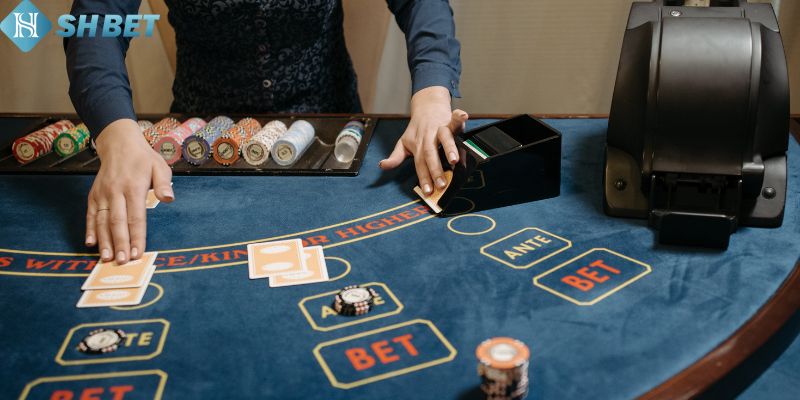 Lý do baccarat online tại shbet thu hút Người Chơi