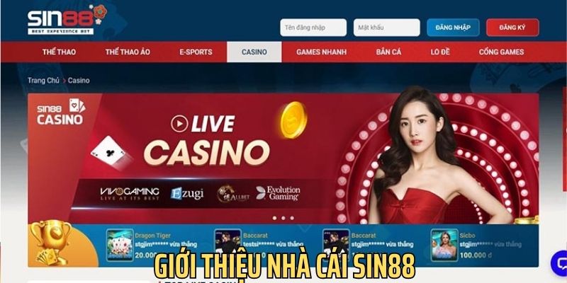 Giới thiệu về thương hiệu giải trí sin88