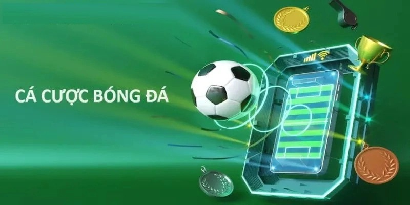 Giới thiệu về sảnh thể thao hitclub
