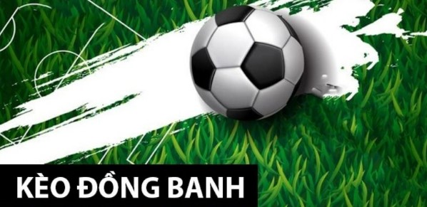 Bí quyết thành công khi tham gia cược đồng banh từ cao thủ
