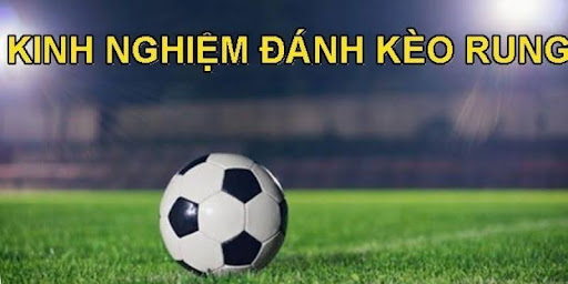 Chiến lược cá cược kèo rung hiệu quả