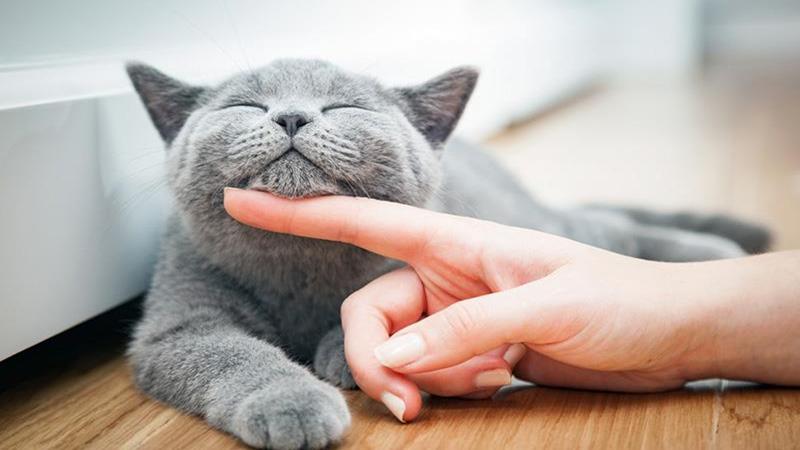 Chia sẻ những con số may mắn liên quan tới giấc mơ