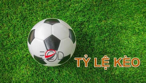 Ưu điểm khi tham gia trang kèo nhà cái