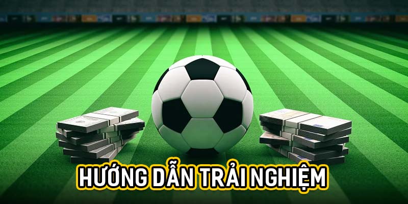 Hướng dẫn trải nghiệm
